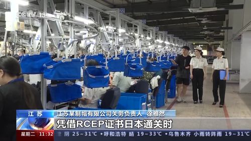 前7个月我国外贸运行平稳，货物贸易进出口总值达23.55万亿元