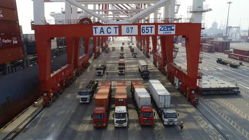 进口美国纸箱的海运提货与清关代理全攻略