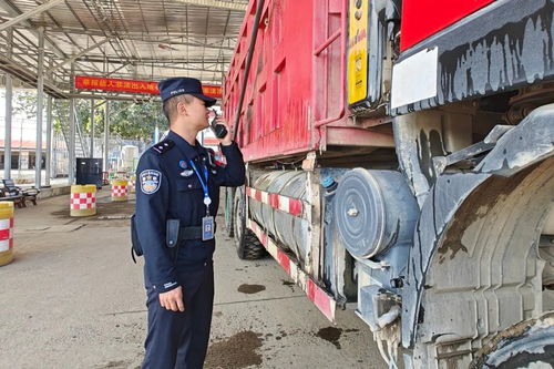 瑞丽口岸2025年进出口货物通关量突破136万吨 展现边境贸易新活力